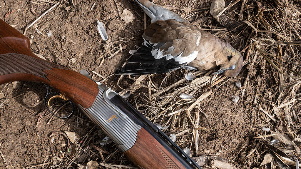 How To Clean a Dove