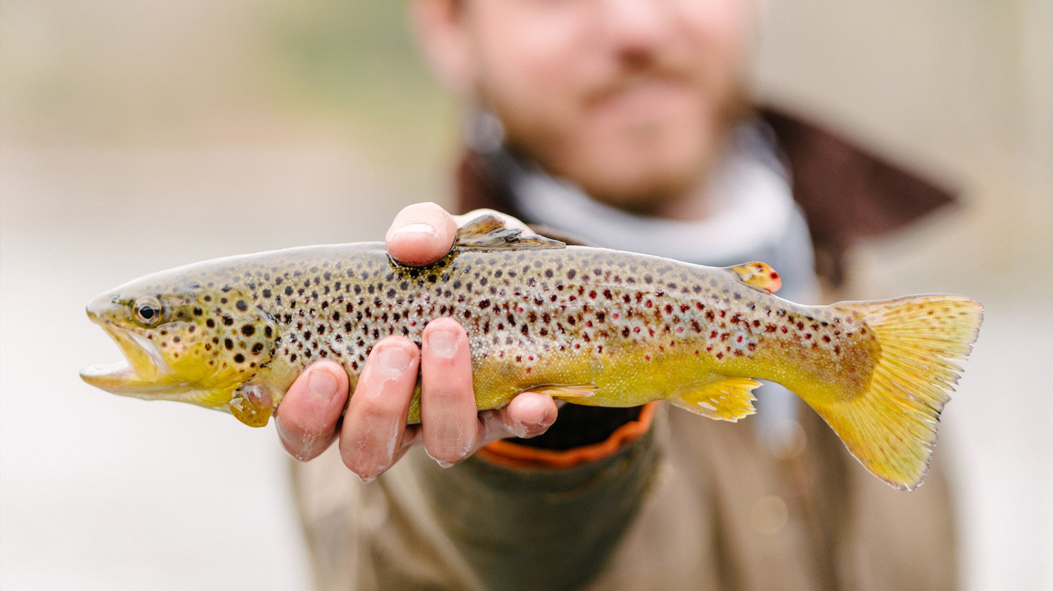 Cast and Blast | Spring Hunt and Fish